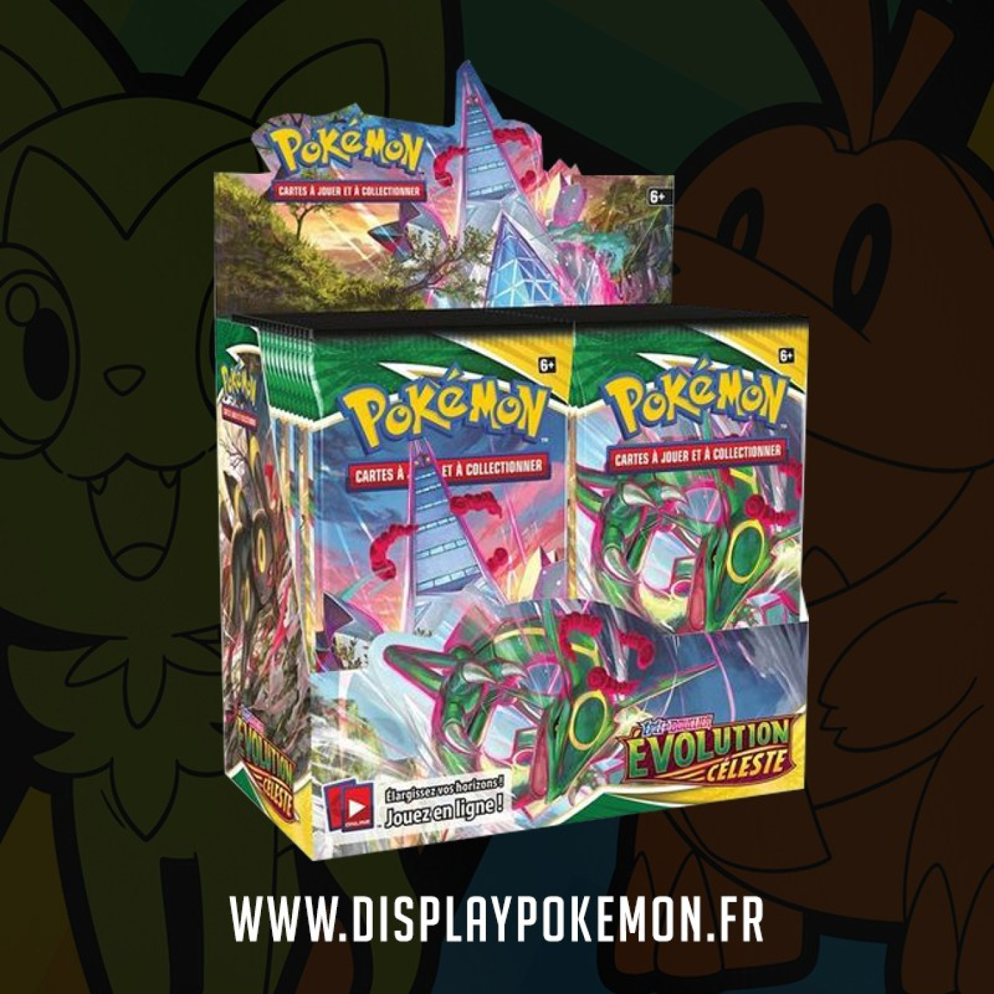 Display EB7 Évolution Céleste Neuf Scellé FR
